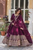 Payal Embroidered Gown for Women