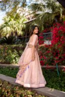 Pink Gold Crush Embroidered Lehenga Choli