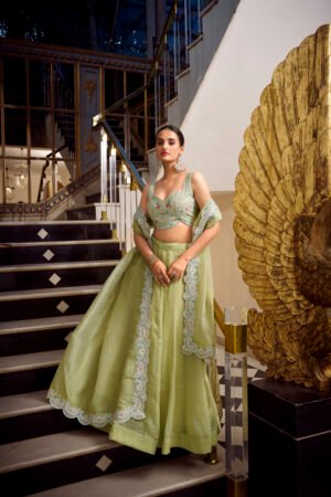 Gold Crush Lehenga Choli