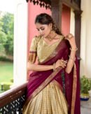 Paithani Cotton Silk Lehenga Choli