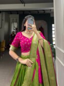 Shibori Print Dola Silk Lehenga