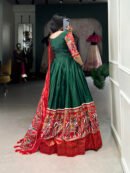 Patola Print Dola Silk Gown