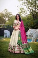 Twilight Trail Lehenga Choli
