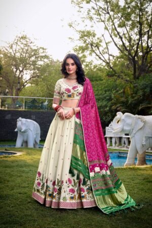 Twilight Trail Lehenga Choli
