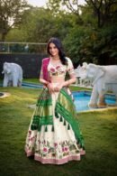 Twilight Trail Lehenga Choli